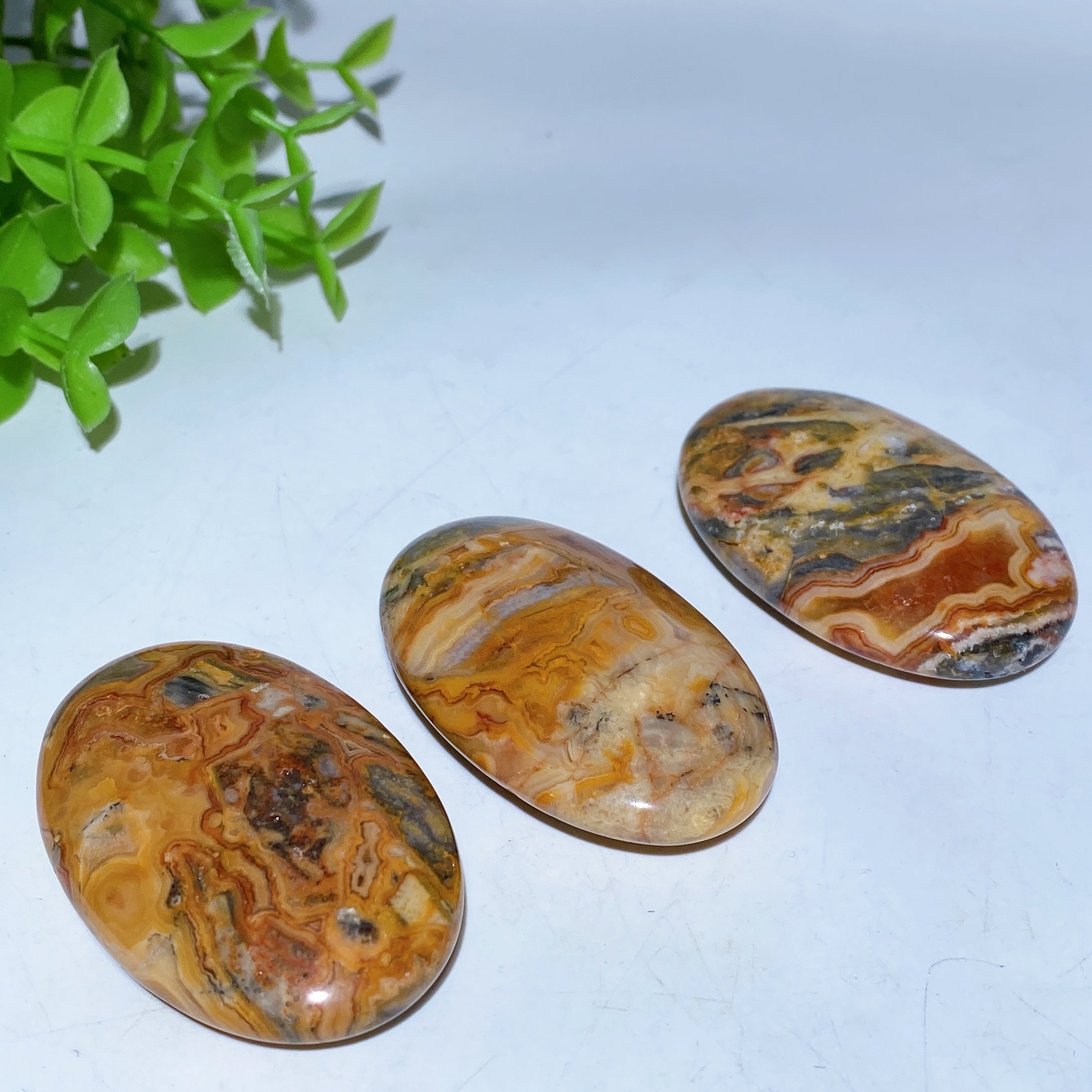 2.2 Inch Crazy Agate Multicolor Palm Stone Crystal Healing