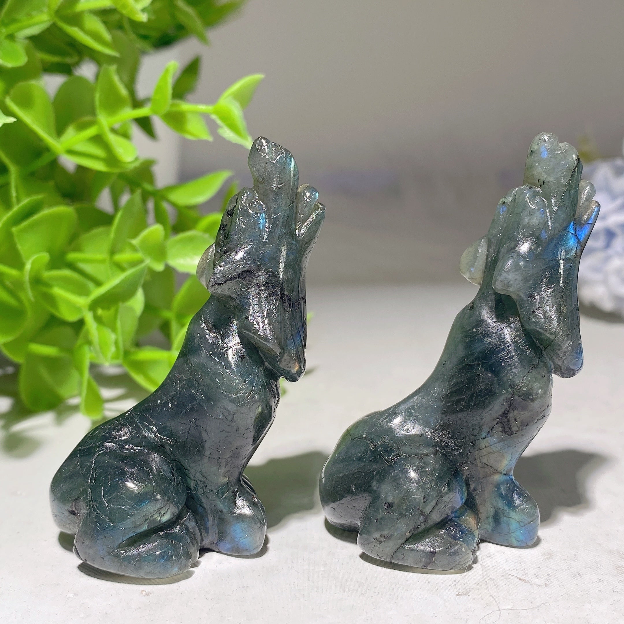 2.2-inch Yellow Tiger's Eye & Labradorite Wolf Crystal Carving