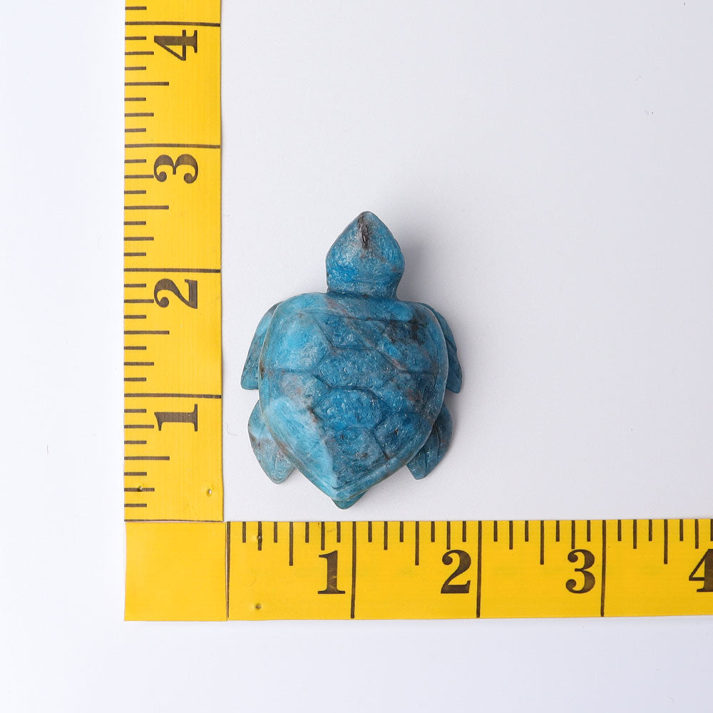 2.3 inch Blue Apatite Sea Turtle Crystal Carving for Prosperity & Protection