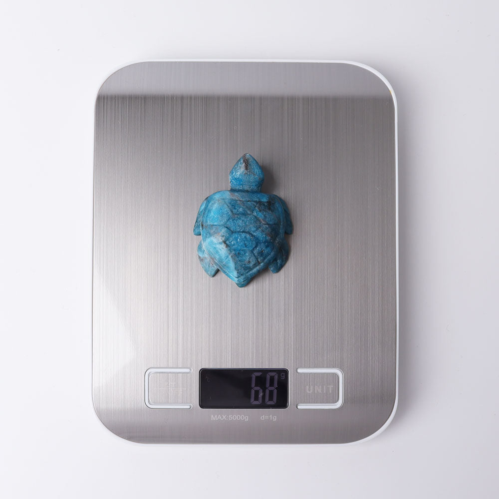 2.3 inch Blue Apatite Sea Turtle Crystal Carving for Prosperity & Protection