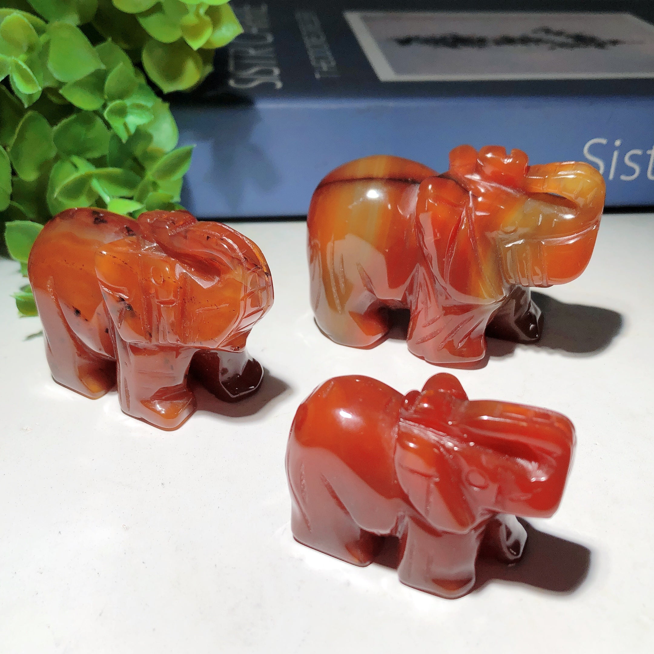 2 to 3 Inch Carnelian Elephant Crystal Carving for Healing