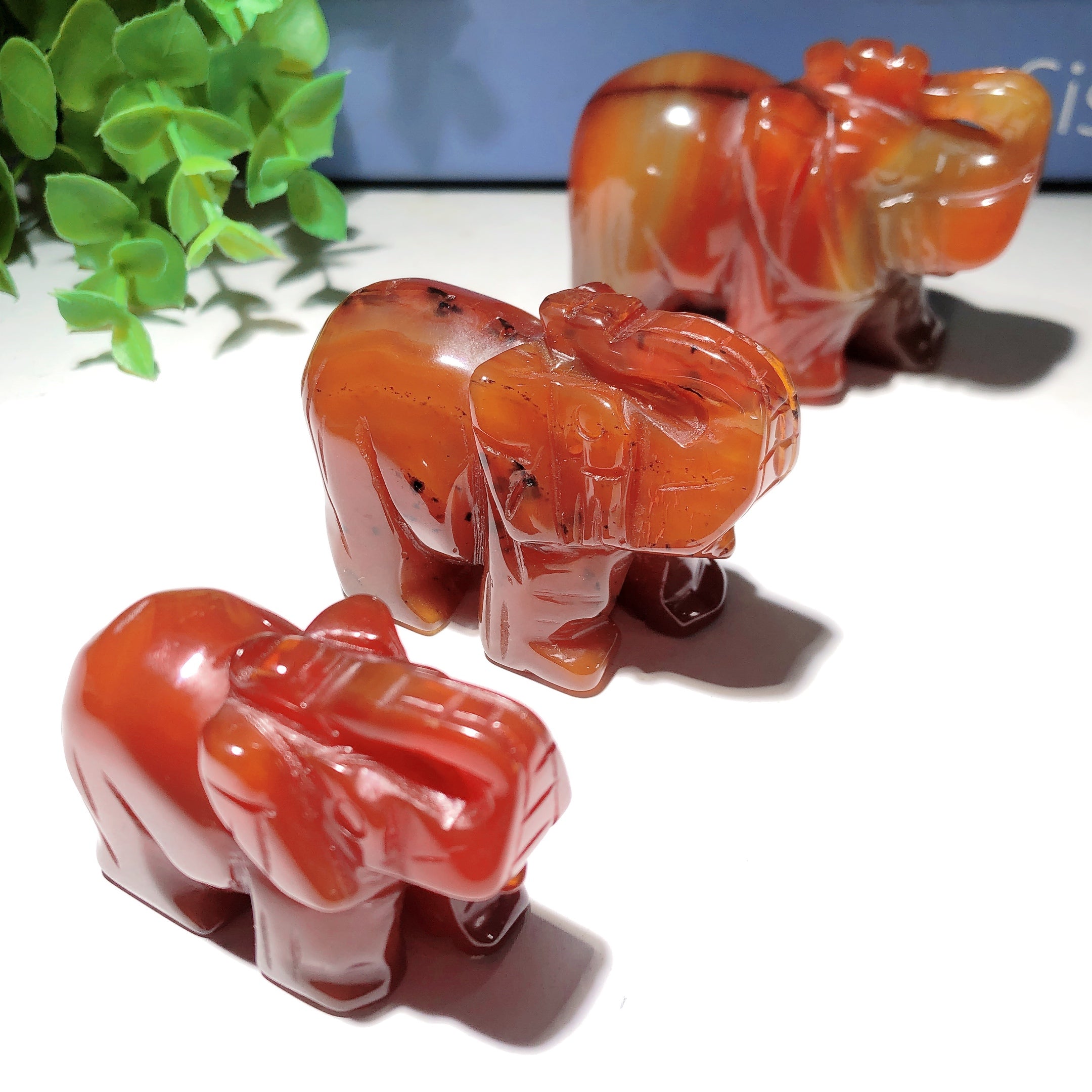 2 to 3 Inch Carnelian Elephant Crystal Carving for Healing