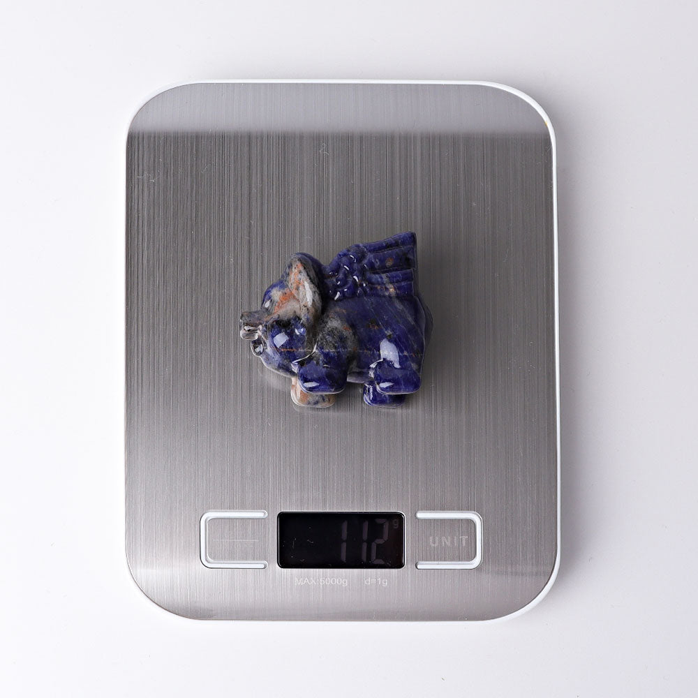2.3 inch Sodalite Flying Pig Crystal Animal Carving
