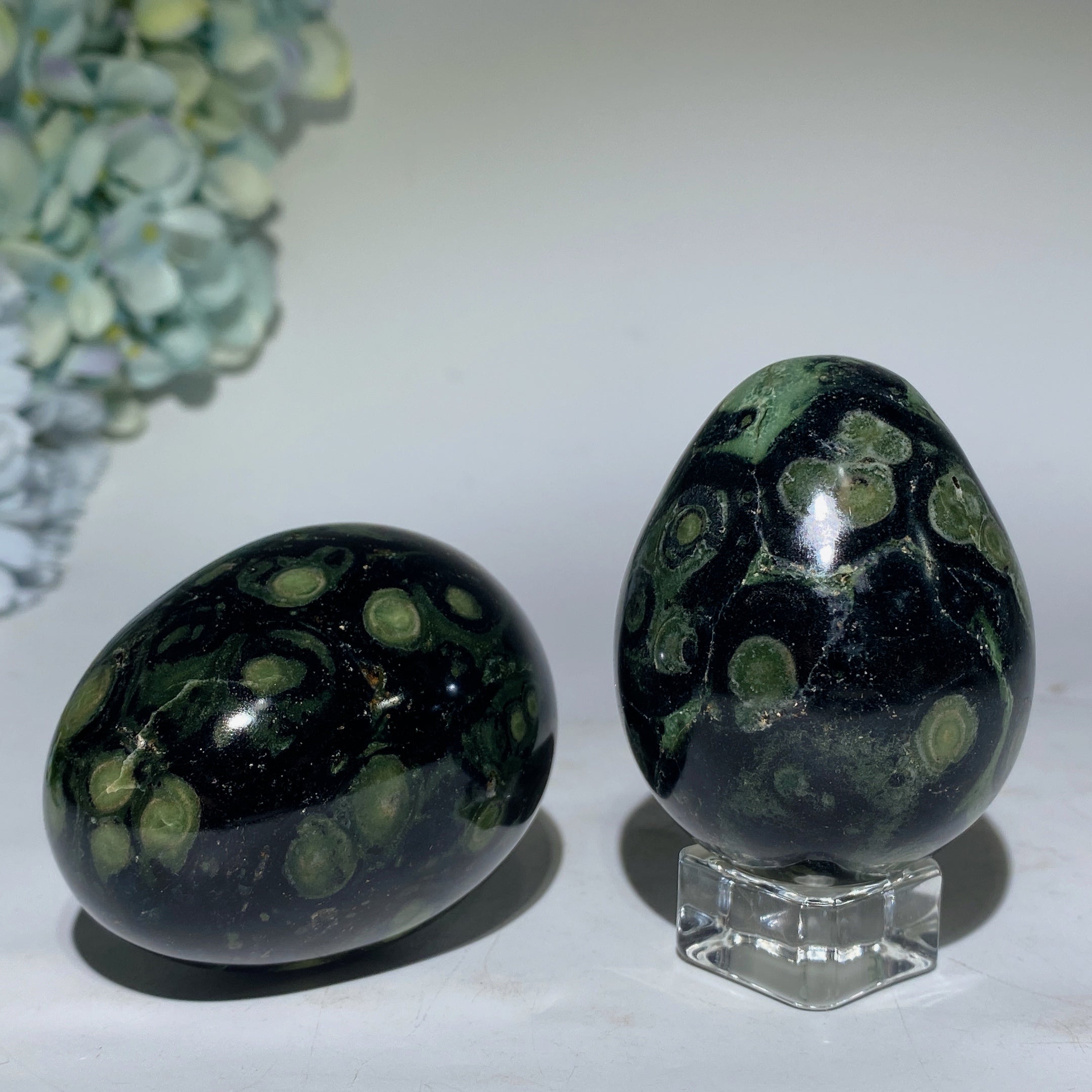 2.5-2.7 inch Kambaba Jasper Crystal Egg for Healing Meditation