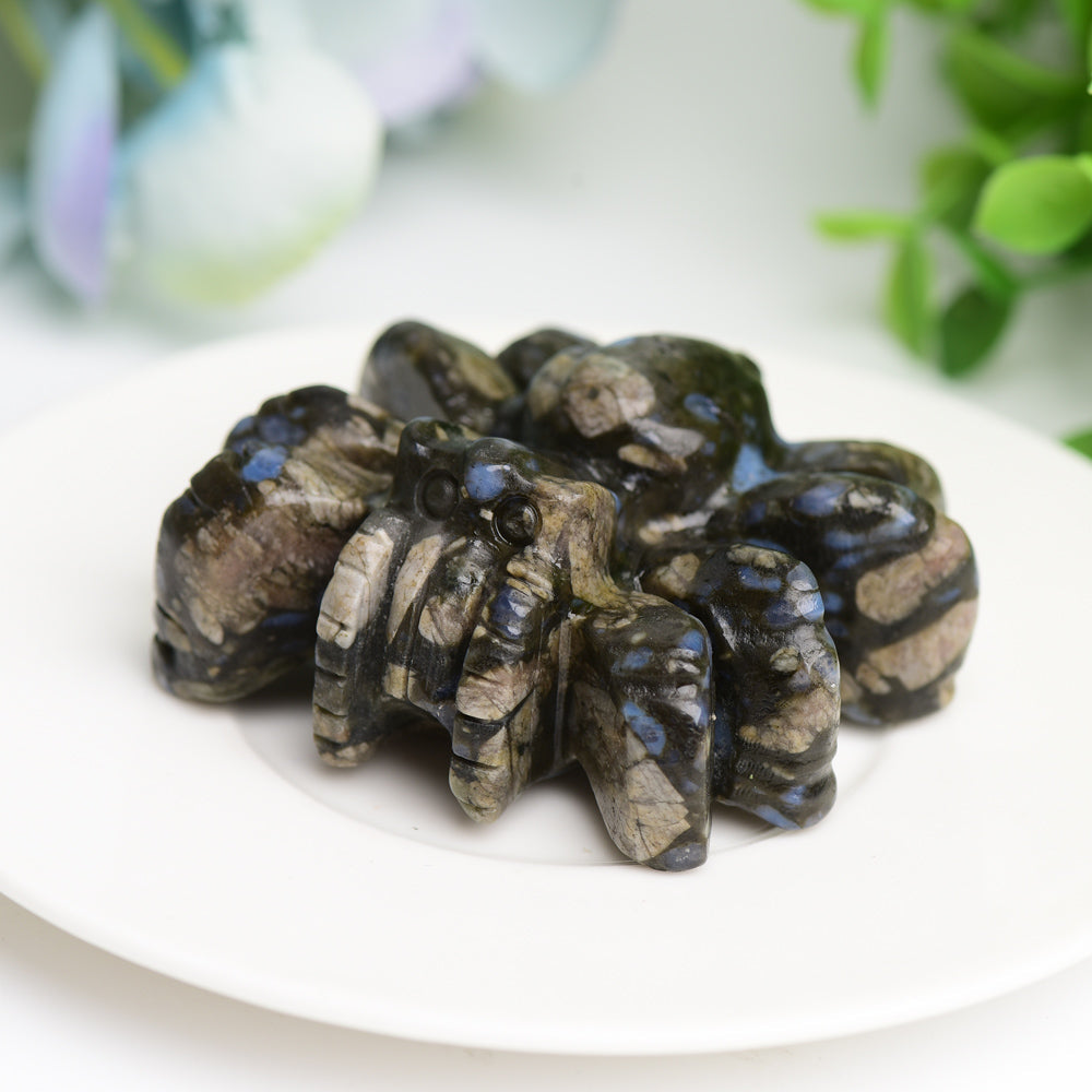 2.5 Inch Crystal Spider Carving in Fluorite and Obsidian