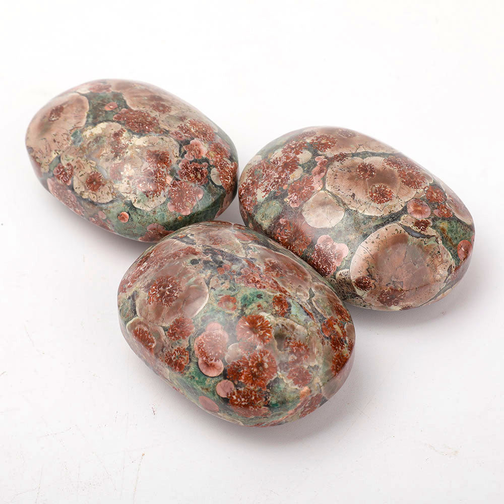 2.5 Inch Fireworks Palm Stone Polished for Healing Energy