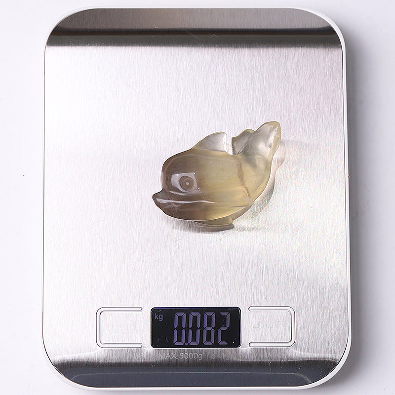 2.5-inch Fluorite Dolphin Crystal Figurine Healing