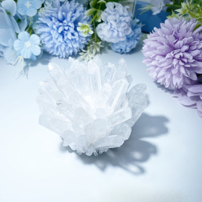 2.5x3.2 inch Clear Quartz Crystal Cluster for Healing & Meditation