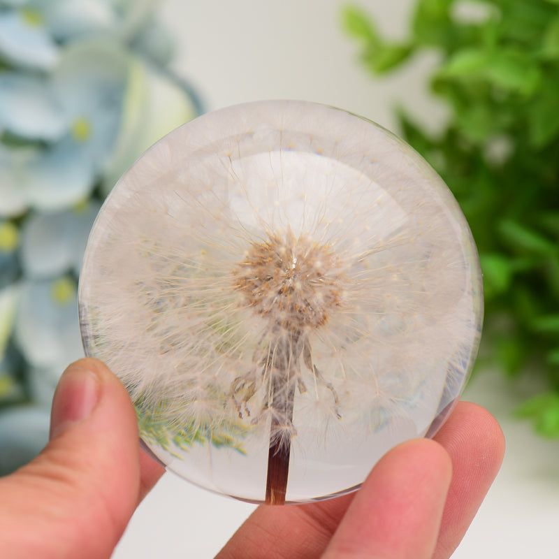 2.6 inch Resin Sphere with Preserved Dandelion for Calming Zen Decor