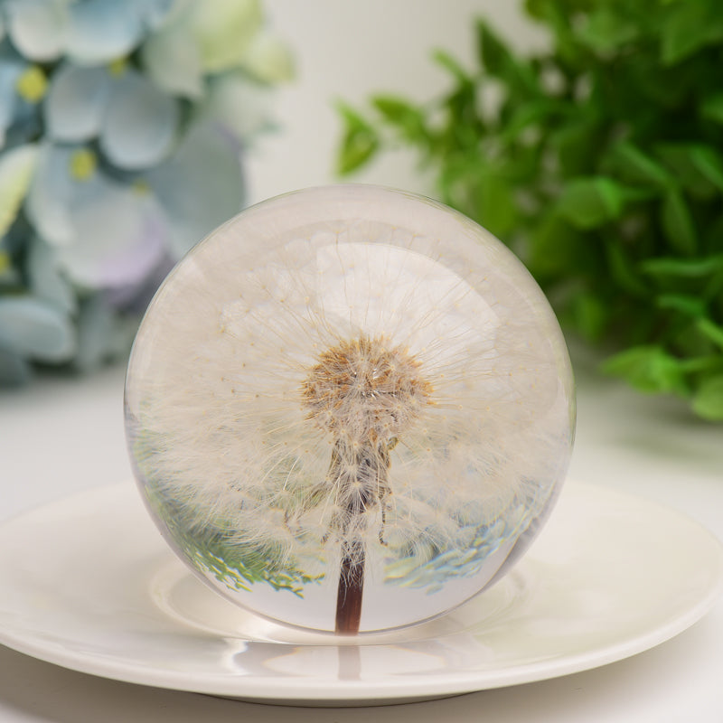 2.6 inch Resin Sphere with Preserved Dandelion for Calming Zen Decor