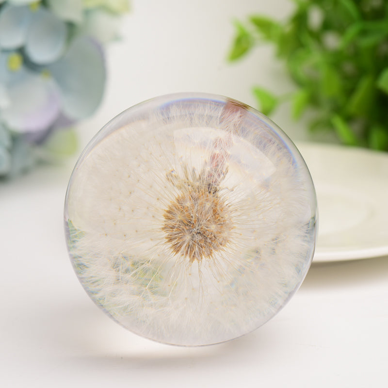 2.6 inch Resin Sphere with Preserved Dandelion for Calming Zen Decor