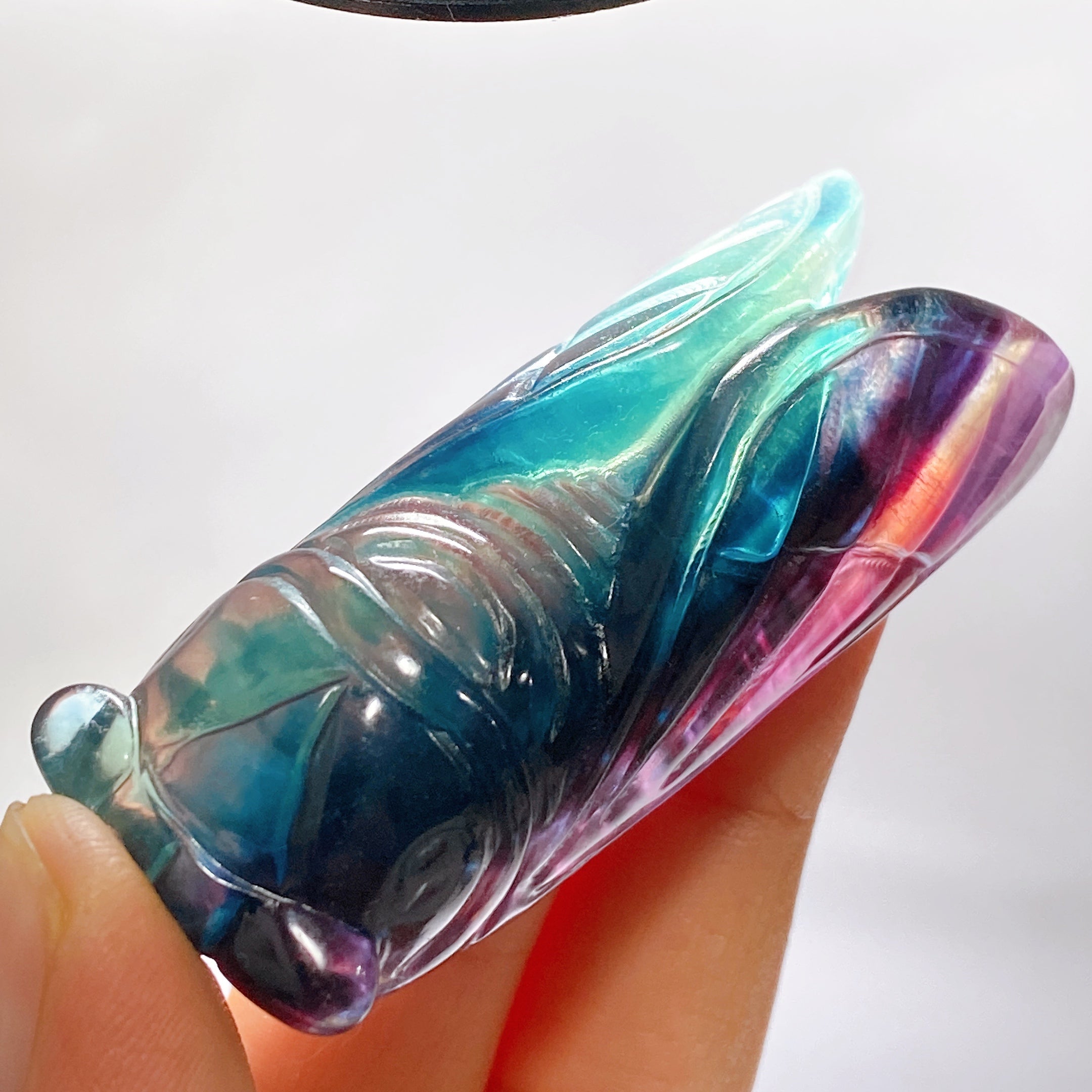 2.7 inch Rainbow Fluorite Cicada Crystal Carving