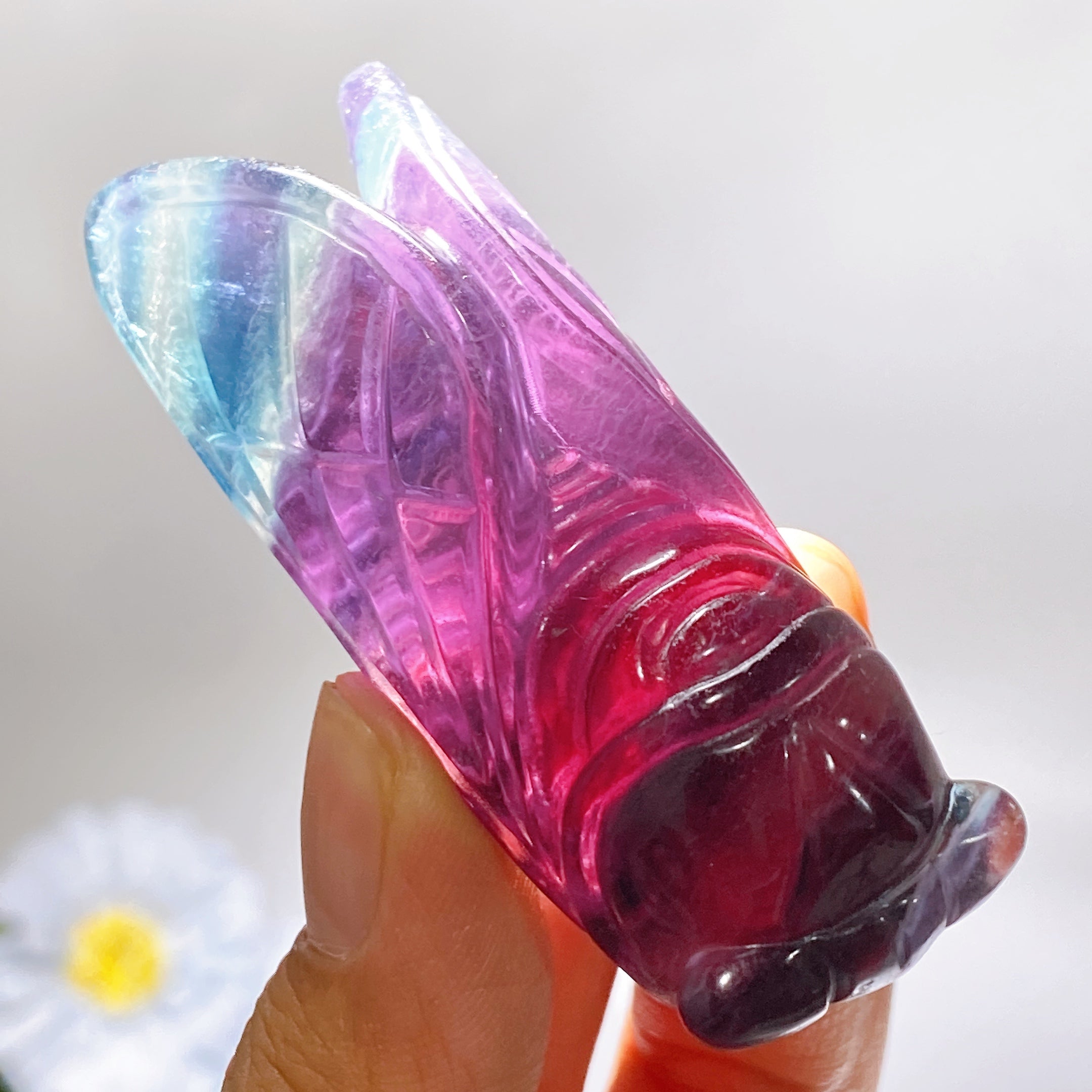 2.7 inch Rainbow Fluorite Cicada Crystal Carving