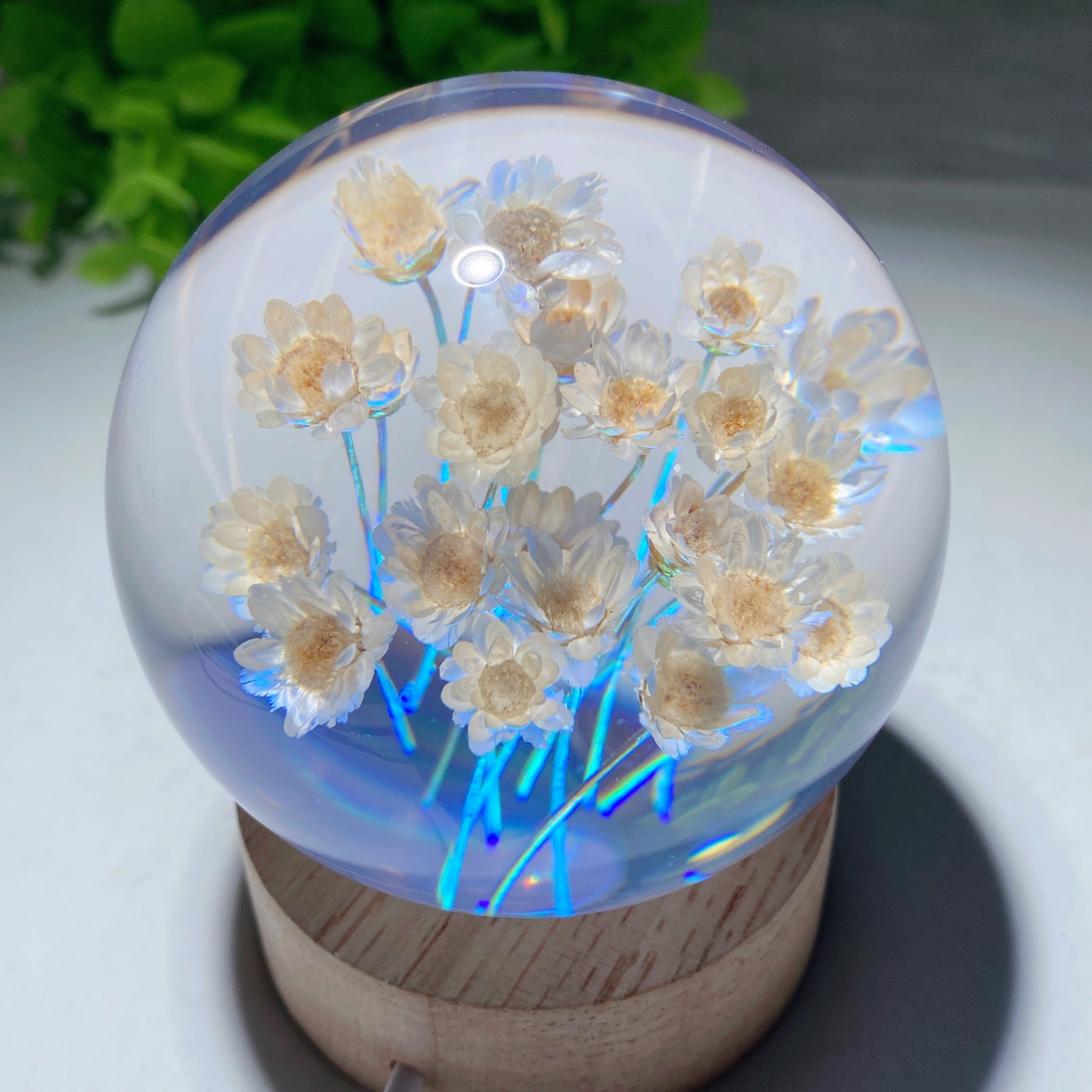 2.7-inch Resin Flower Sphere on Wooden Lamp Stand