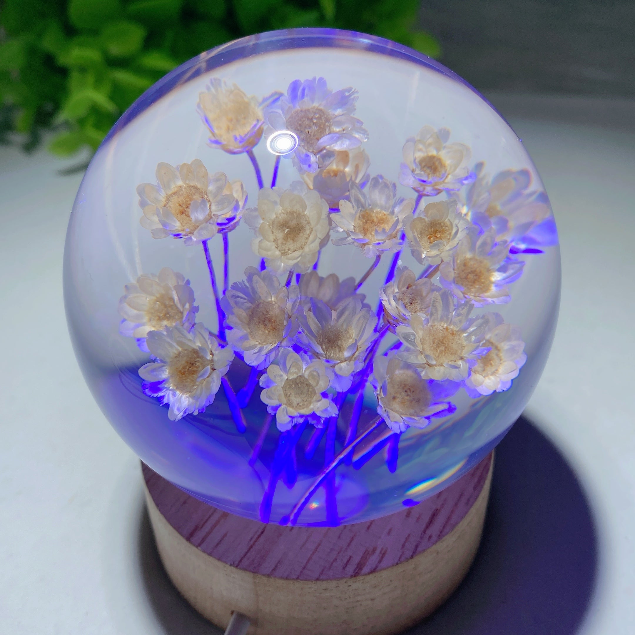 2.7-inch Resin Flower Sphere on Wooden Lamp Stand