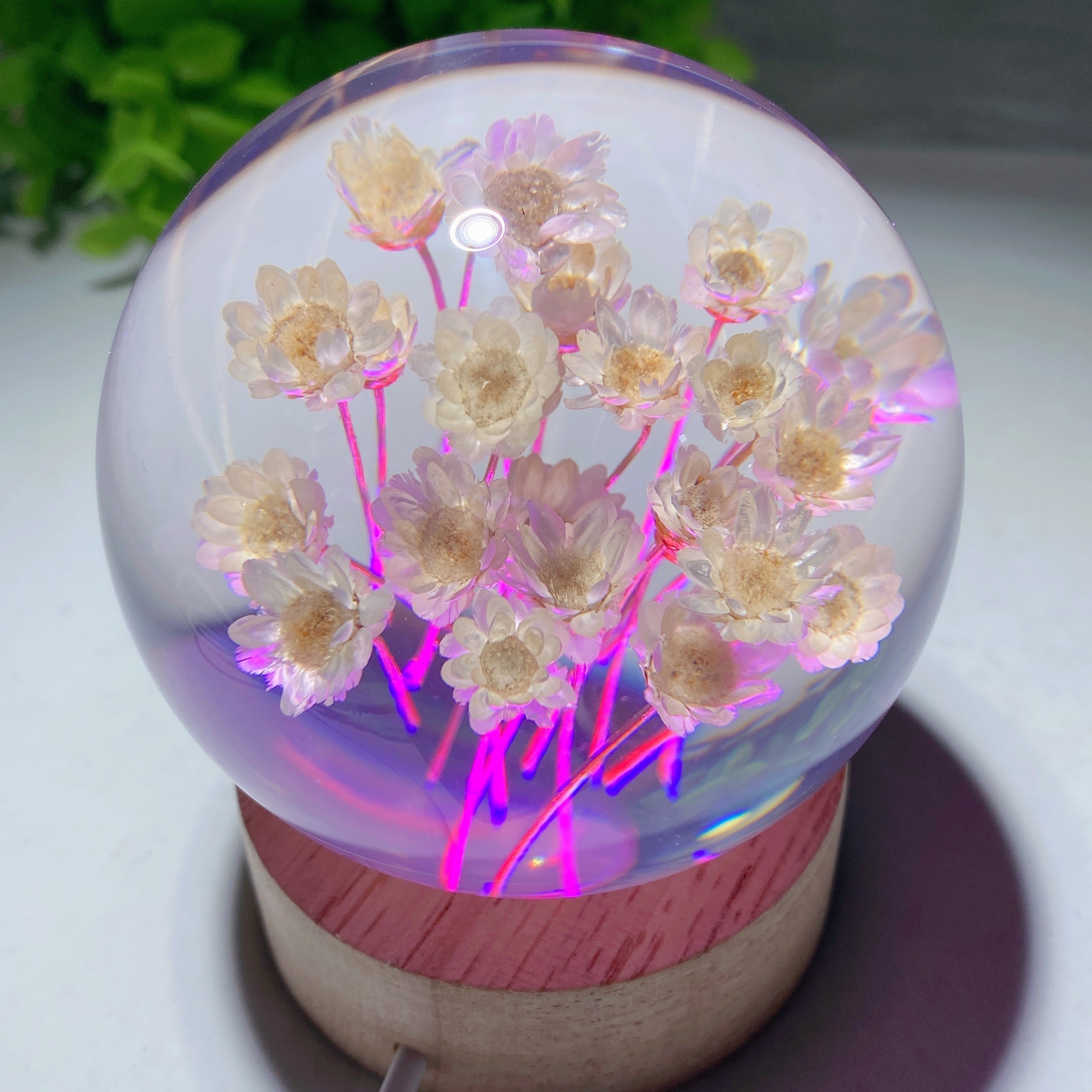 2.7-inch Resin Flower Sphere on Wooden Lamp Stand