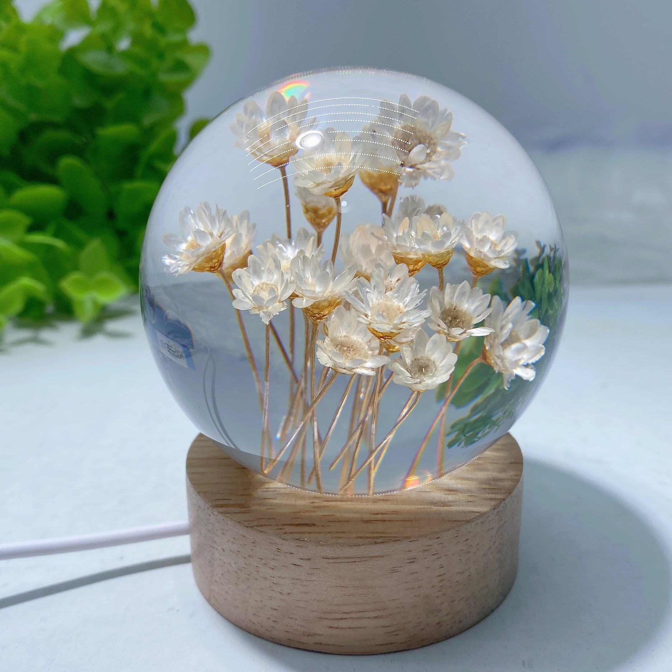 2.7-inch Resin Flower Sphere on Wooden Lamp Stand