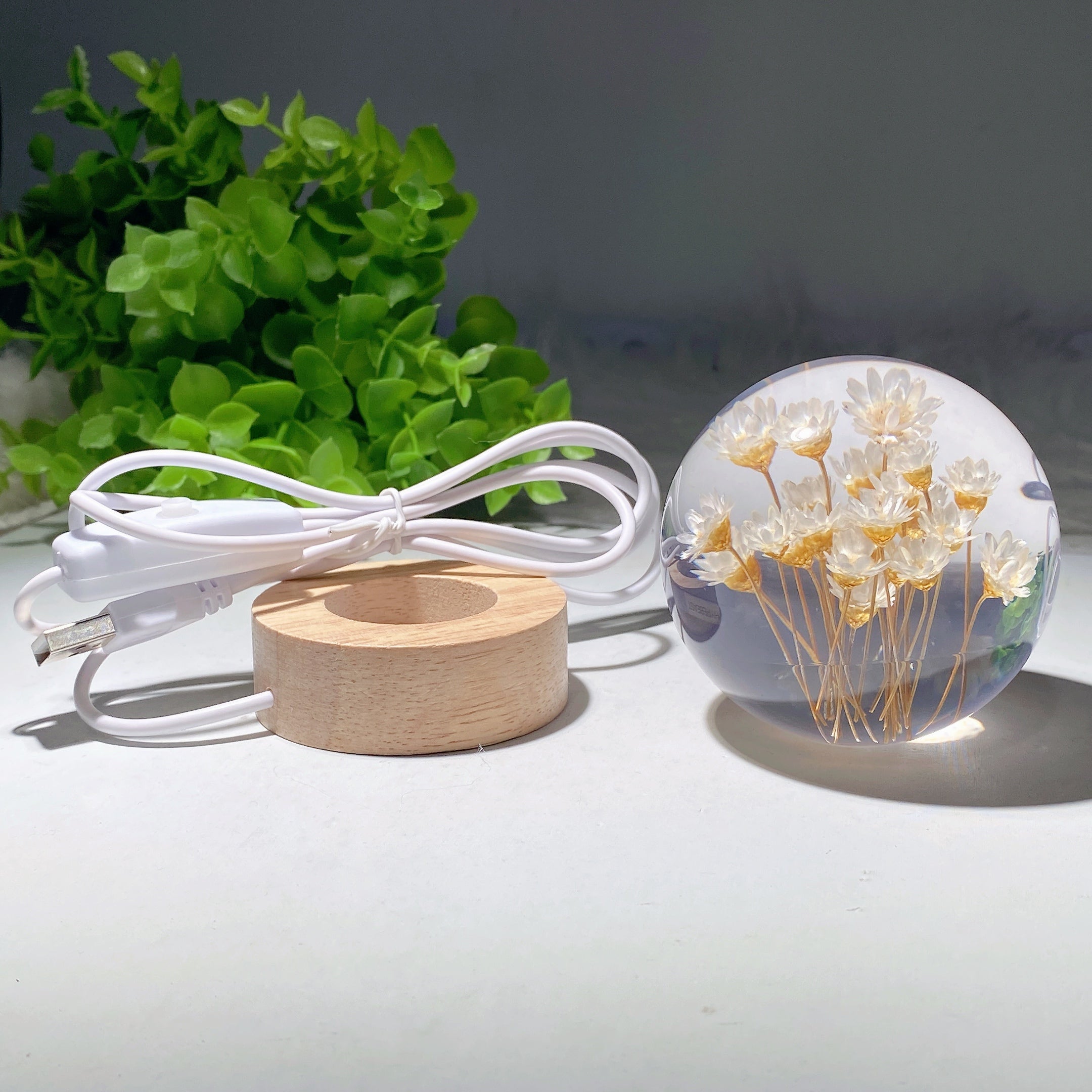 2.7-inch Resin Flower Sphere on Wooden Lamp Stand