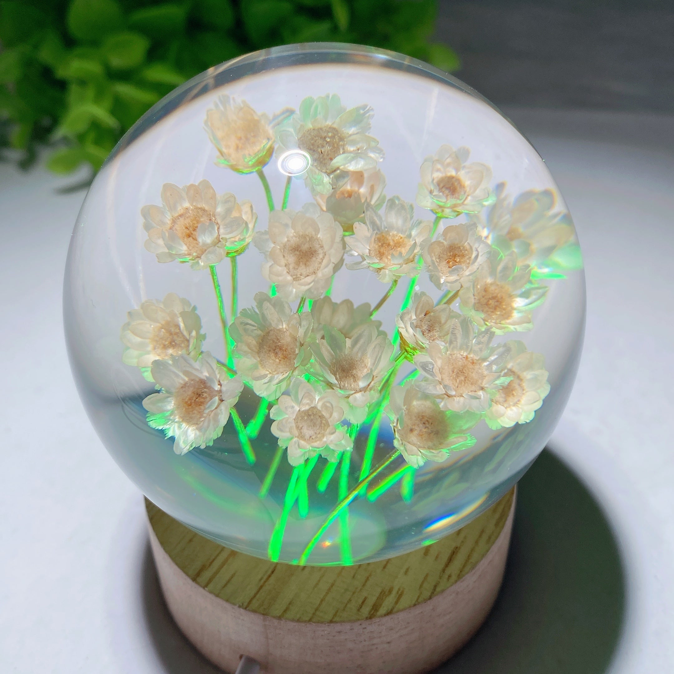 2.7-inch Resin Flower Sphere on Wooden Lamp Stand