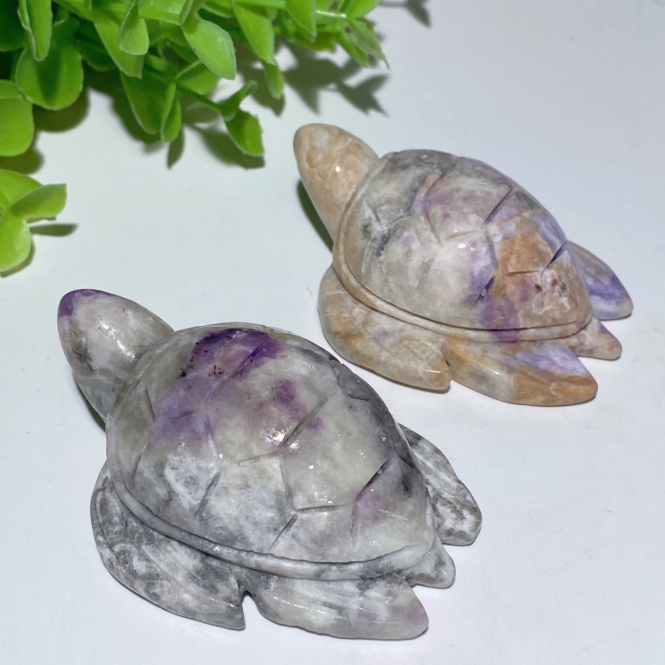 2.7-Inch UV Reactive Hackmanite Crystal Turtle Carving