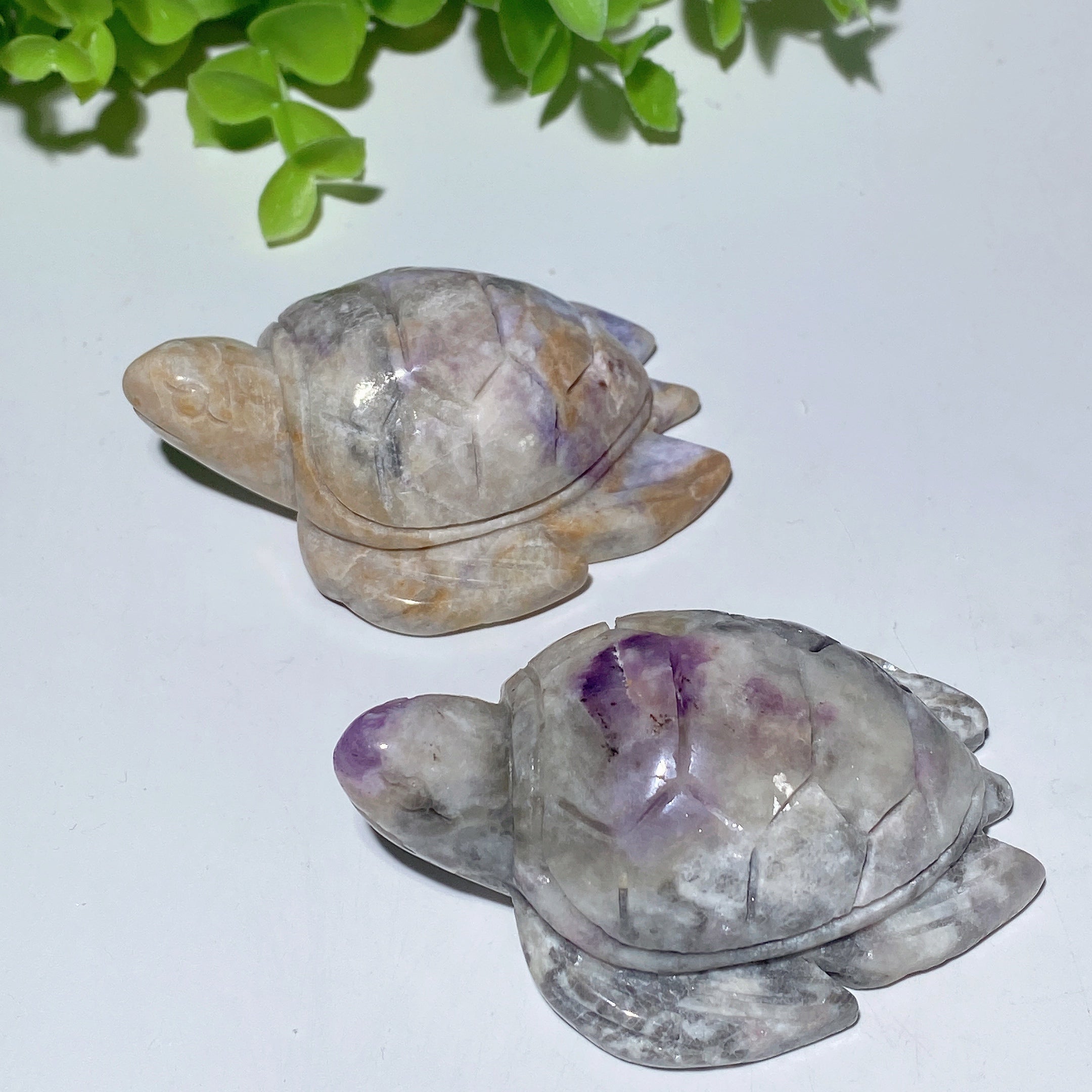 2.7-Inch UV Reactive Hackmanite Crystal Turtle Carving