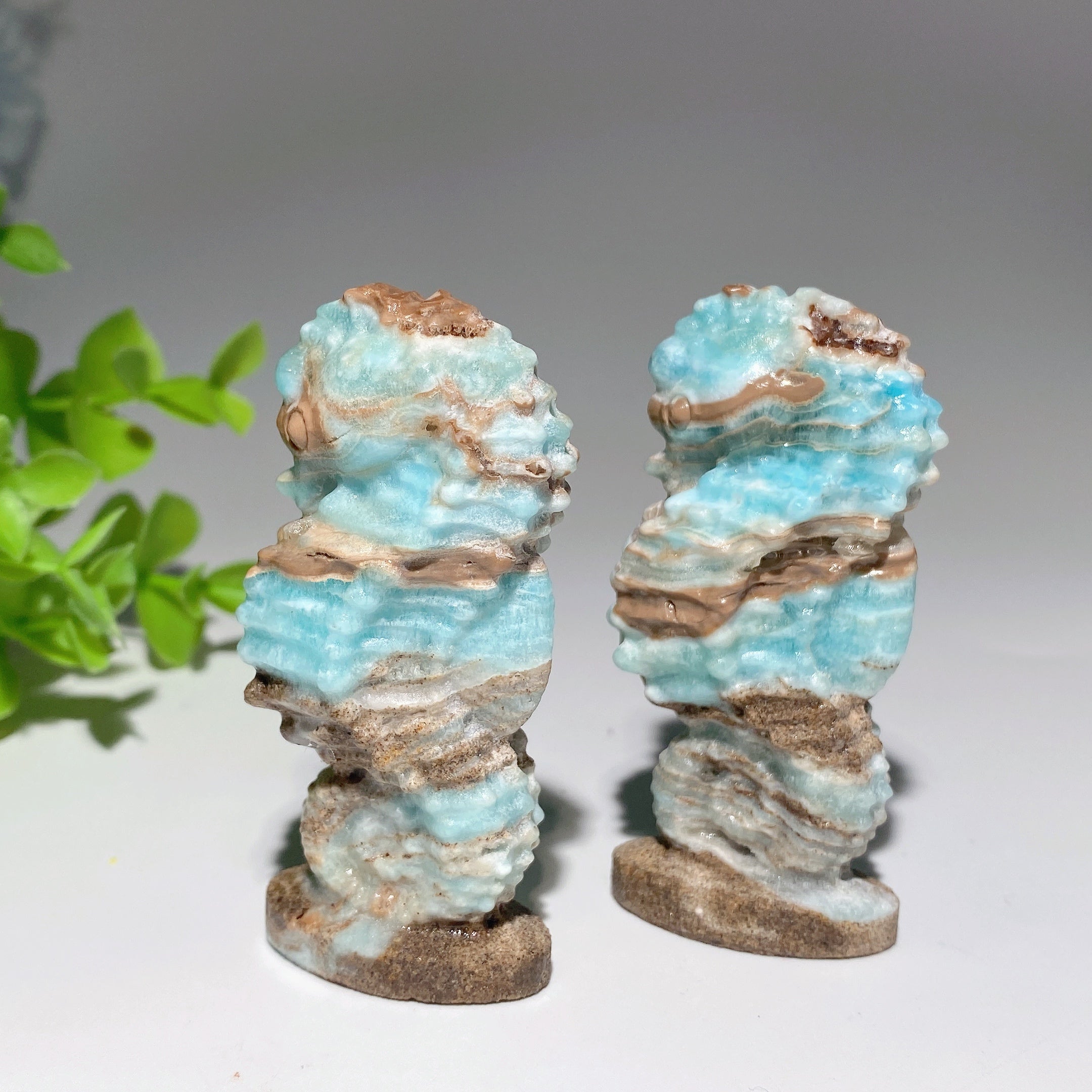 2.8-inch Hemimorphite Hippocampus Crystal Carving