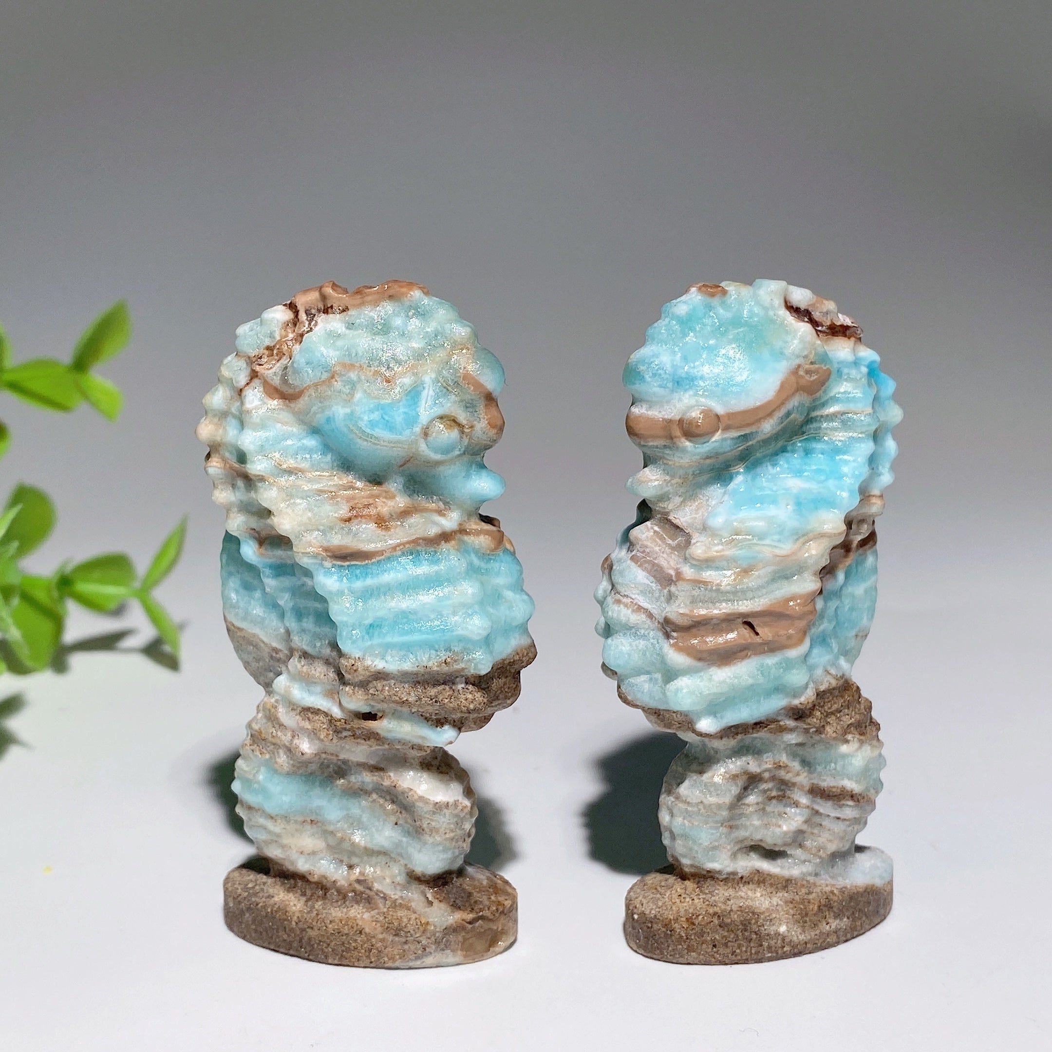 2.8-inch Hemimorphite Hippocampus Crystal Carving