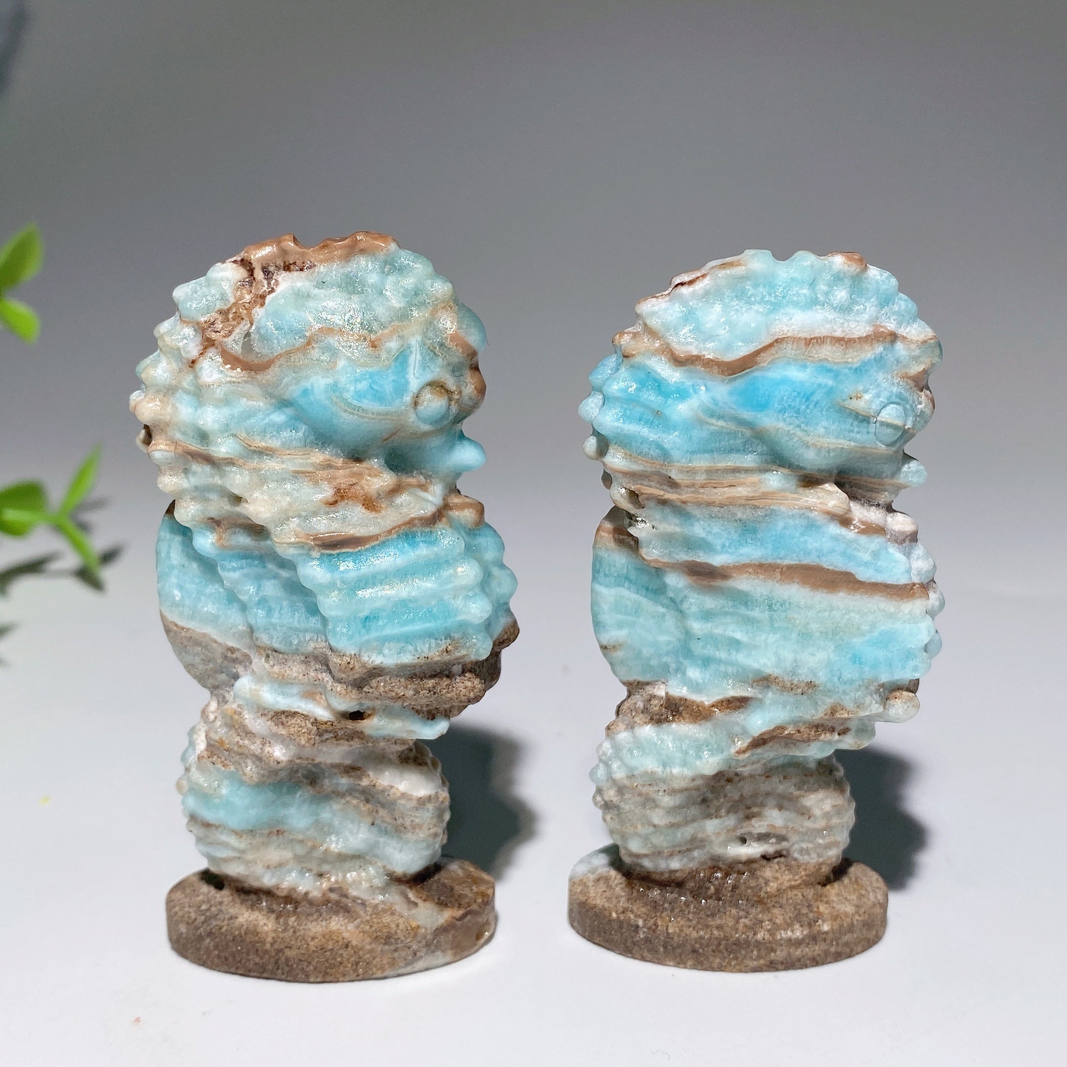 2.8-inch Hemimorphite Hippocampus Crystal Carving