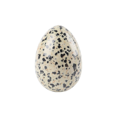 2-Inch Dalmatian Jasper Egg Crystal Palm Stone for Healing