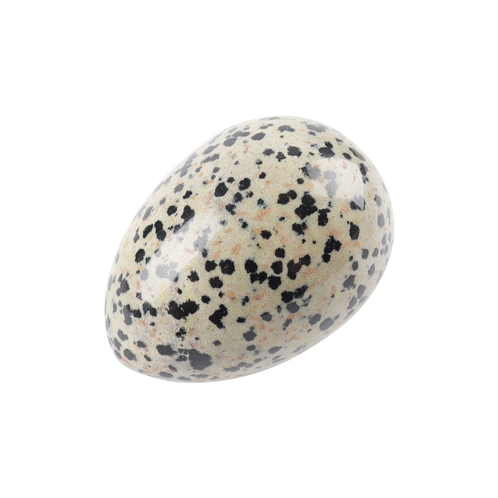 2-Inch Dalmatian Jasper Egg Crystal Palm Stone for Healing