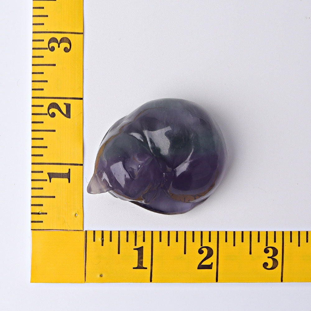 2 inch Fluorite Sleeping Cat Crystal Carving Figurine