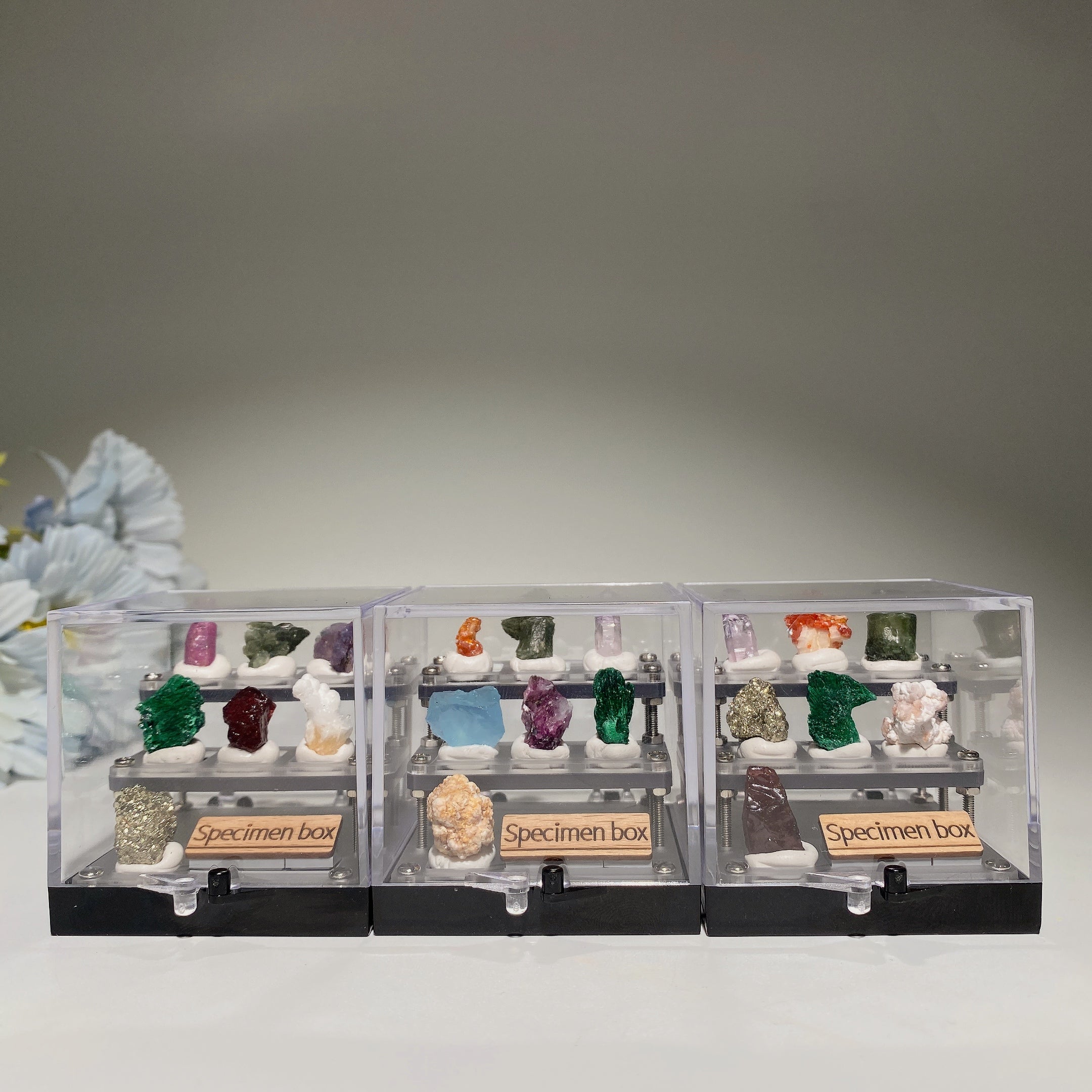 2 inch Raw Crystal Healing Specimen Box Display