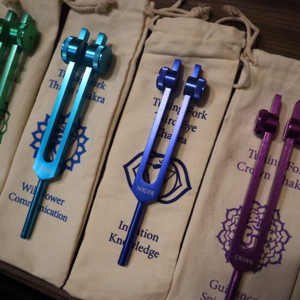 Colorful tuning forks with designs and pouches in 23pc Human Biology & Chakra Set