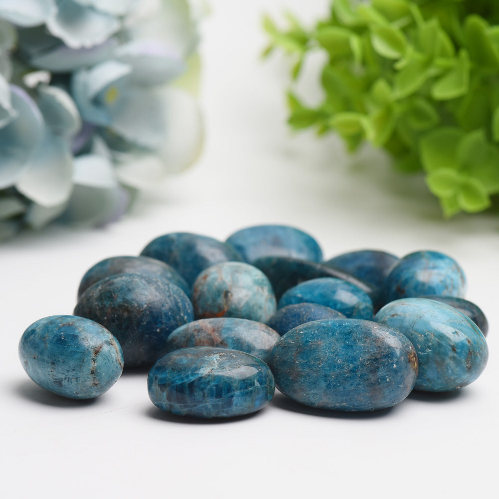 25-30mm Blue Apatite Tumbled Crystal Stones