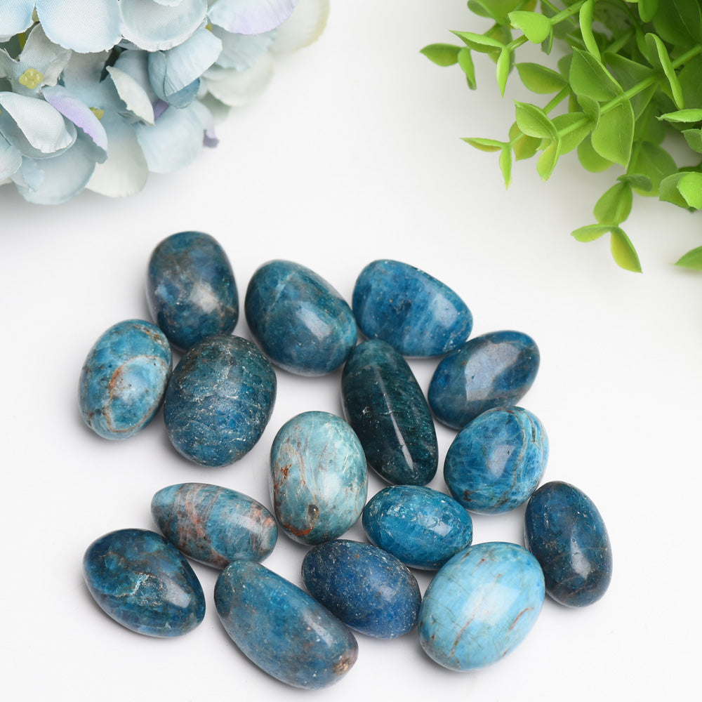25-30mm Blue Apatite Tumbled Crystal Stones