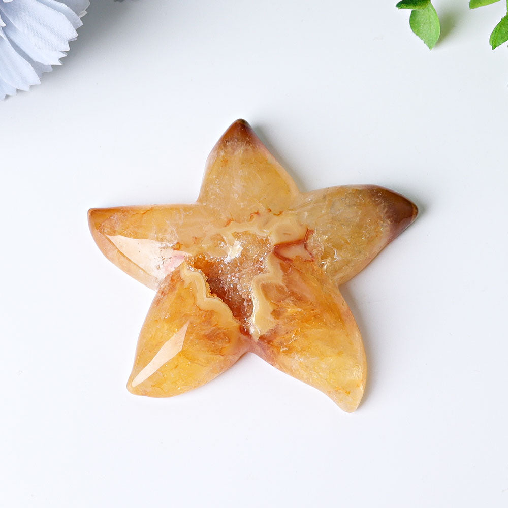 3.0-3.5 Inch Druzy Agate Starfish Crystal Carving