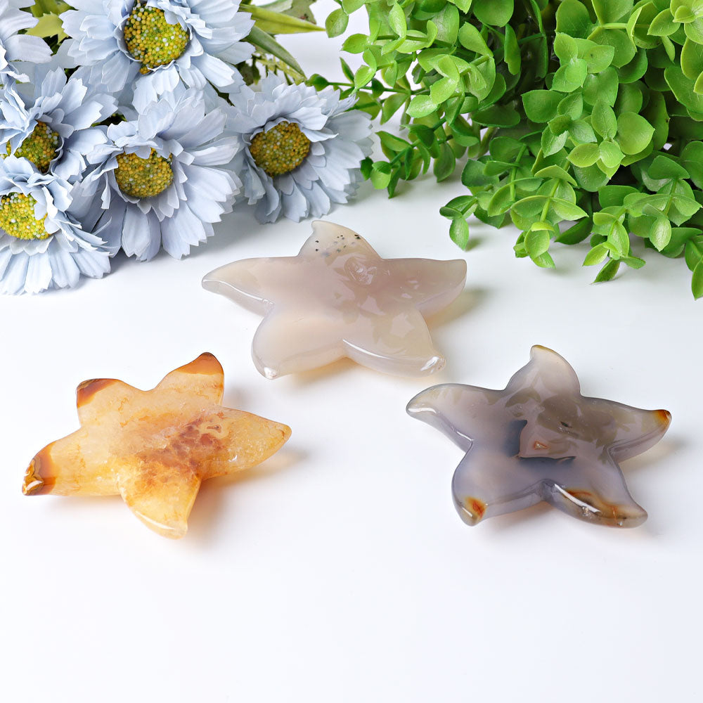 3.0-3.5 Inch Druzy Agate Starfish Crystal Carving