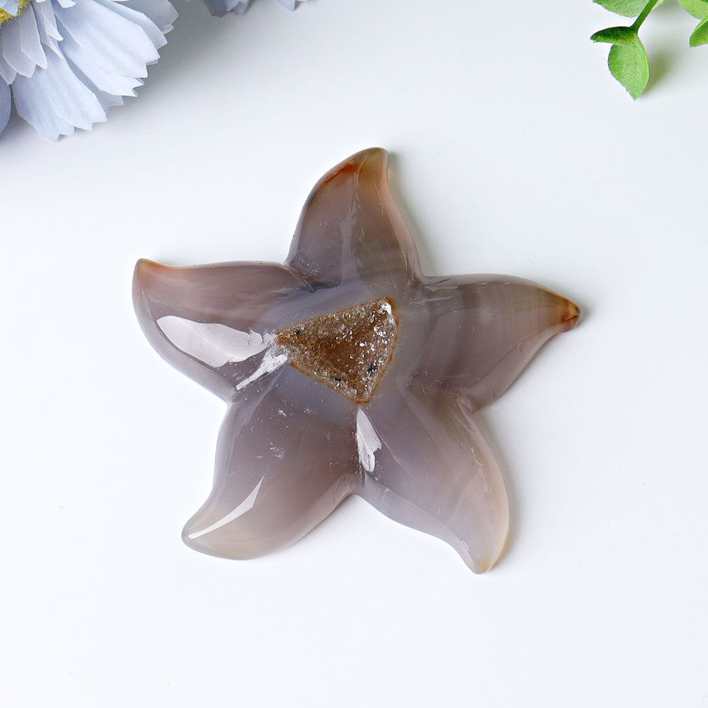 3.0-3.5 Inch Druzy Agate Starfish Crystal Carving