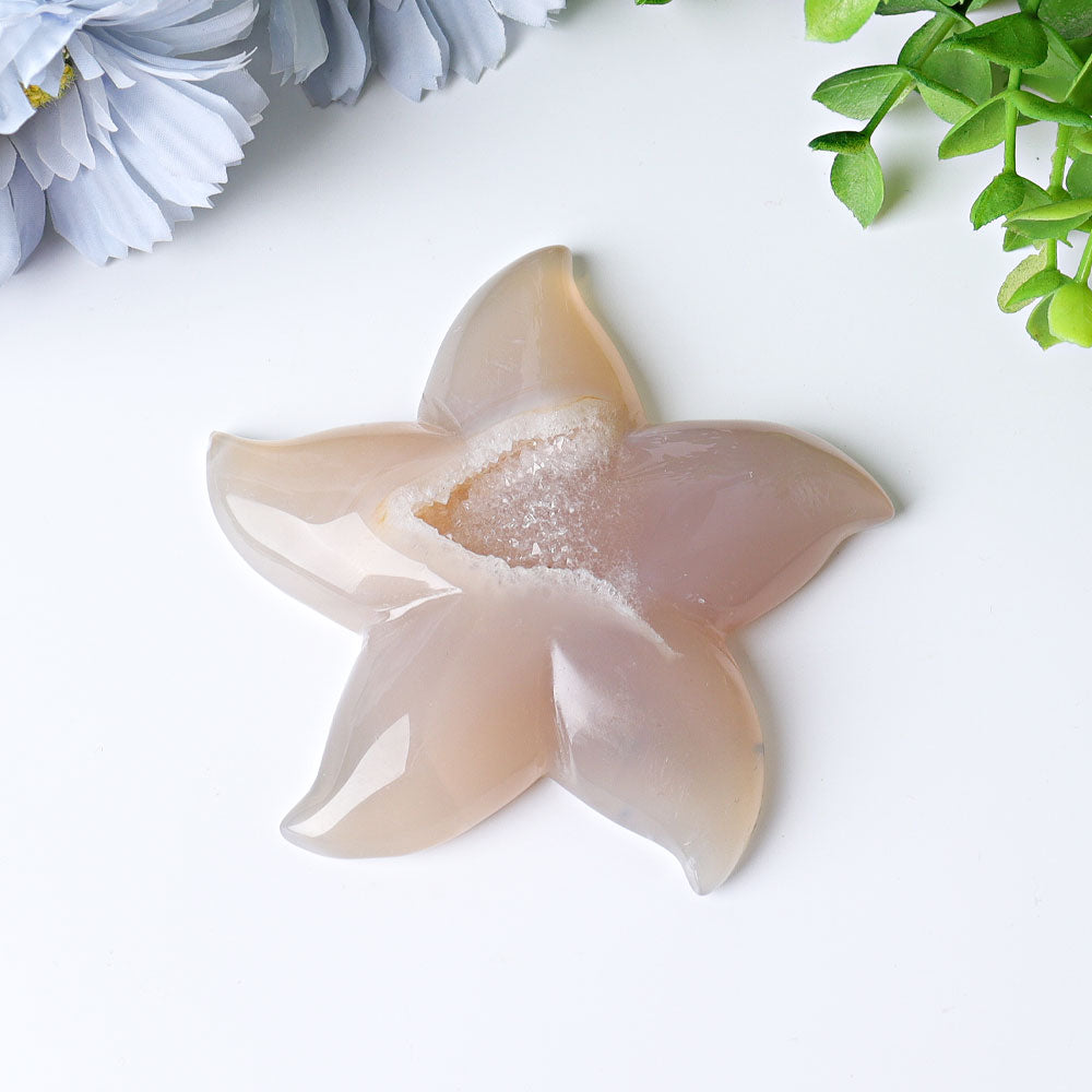 3.0-3.5 Inch Druzy Agate Starfish Crystal Carving