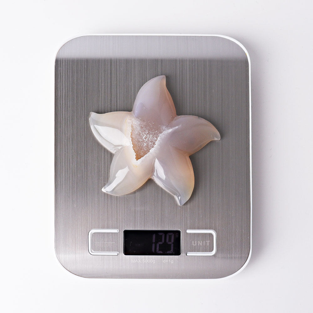 3.0-3.5 Inch Druzy Agate Starfish Crystal Carving