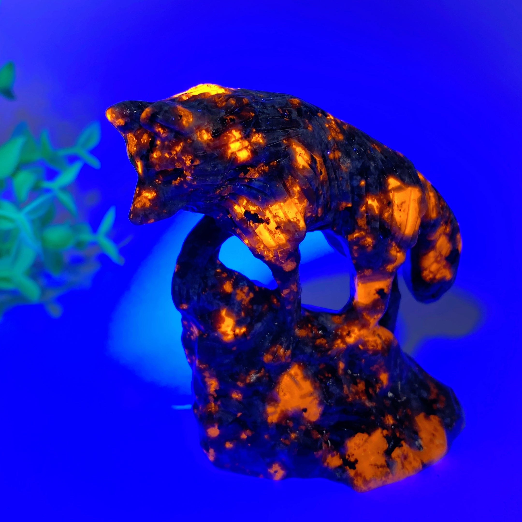 3.0-3.5 Inch Jade & Yooperlite Wolf Crystal Carvings