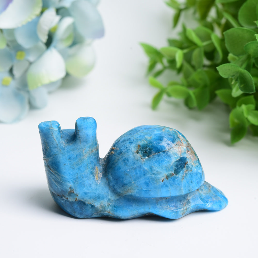 3.0 inch Blue Apatite Snail Crystal Figurine for Healing