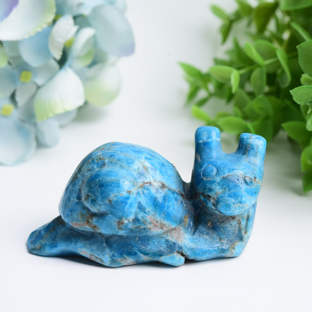 3.0 inch Blue Apatite Snail Crystal Figurine for Healing