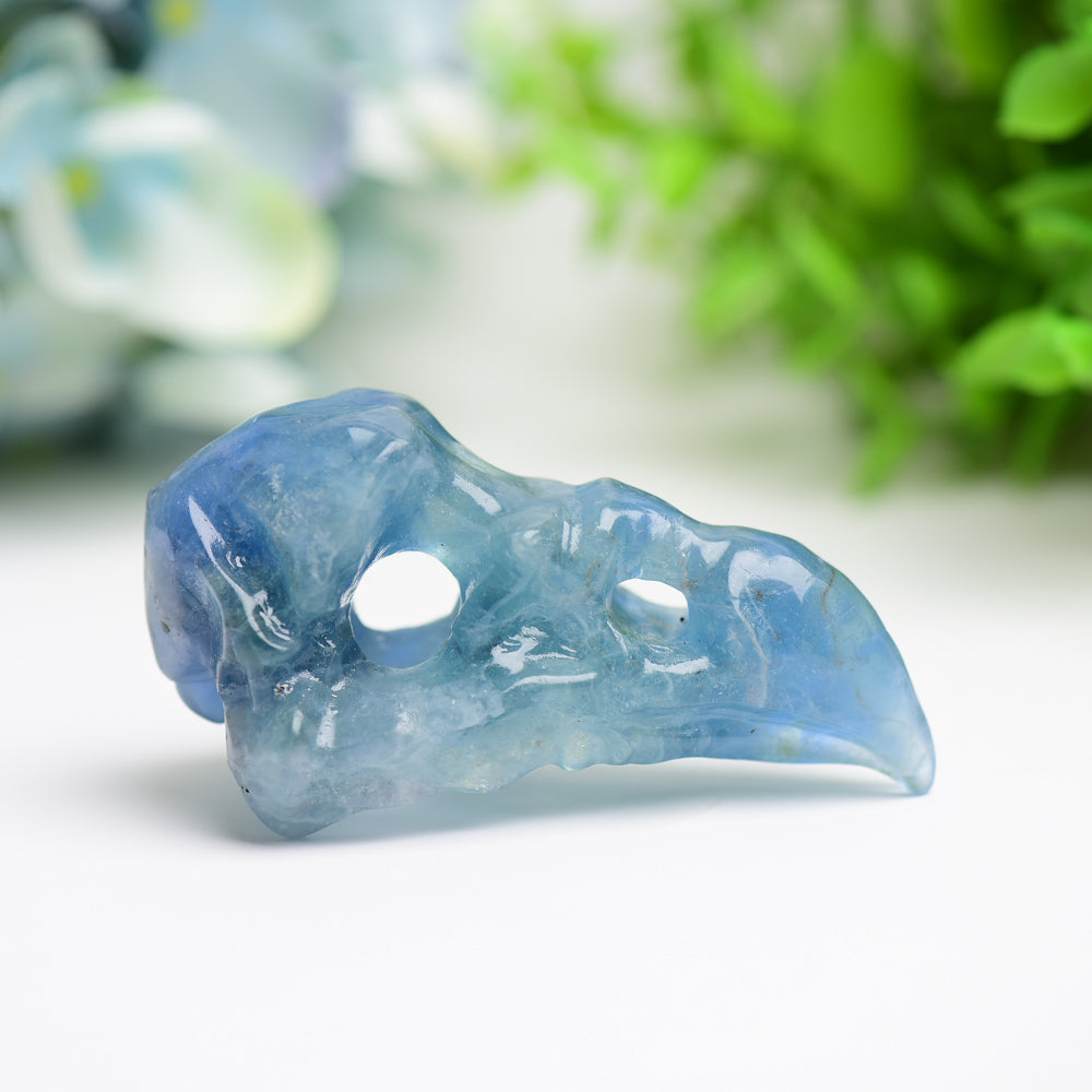 3.0 Inch Fluorite Raven Skull Crystal Figurine