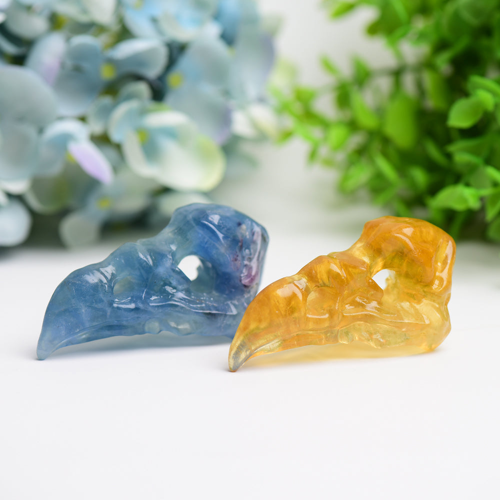 3.0 Inch Fluorite Raven Skull Crystal Figurine