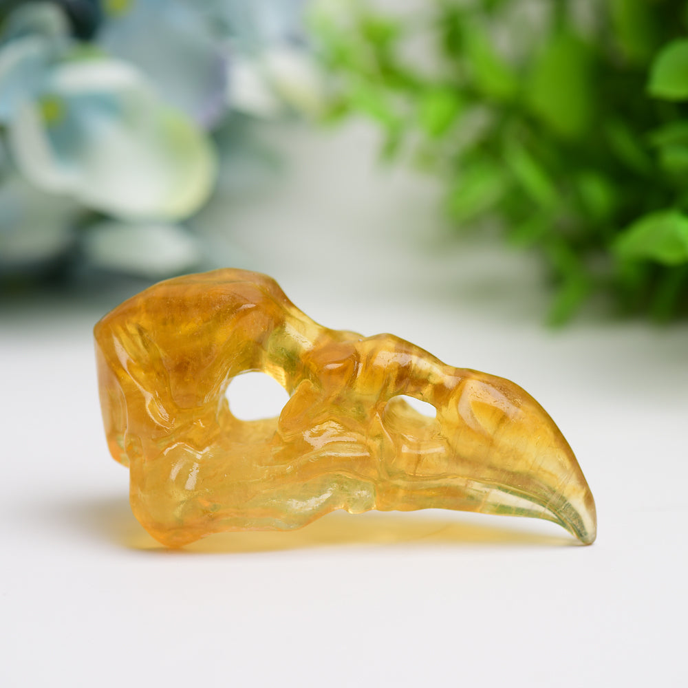 3.0 Inch Fluorite Raven Skull Crystal Figurine