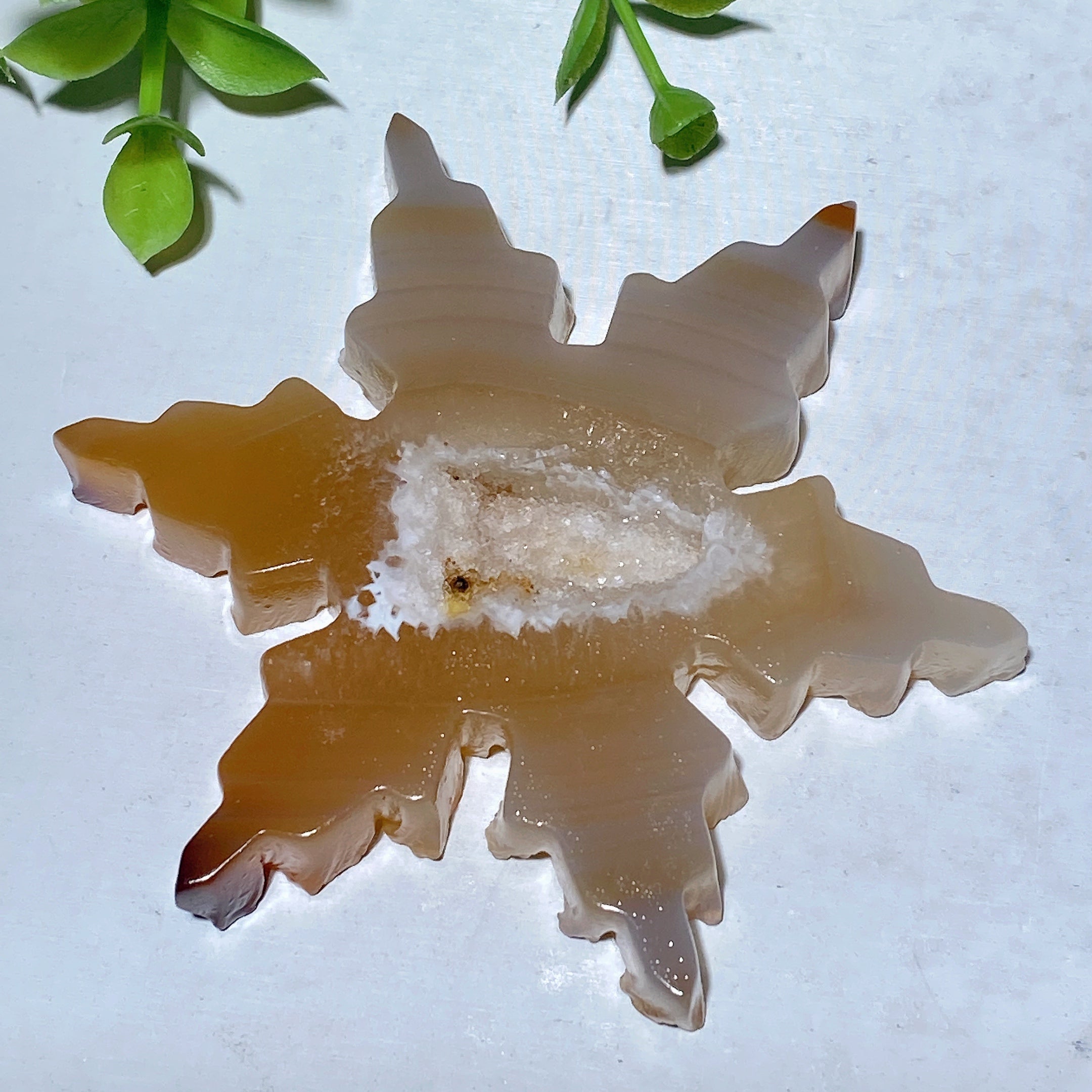 2.2-2.8" Bumblebee Jasper Star and Moon Crystal Carvings