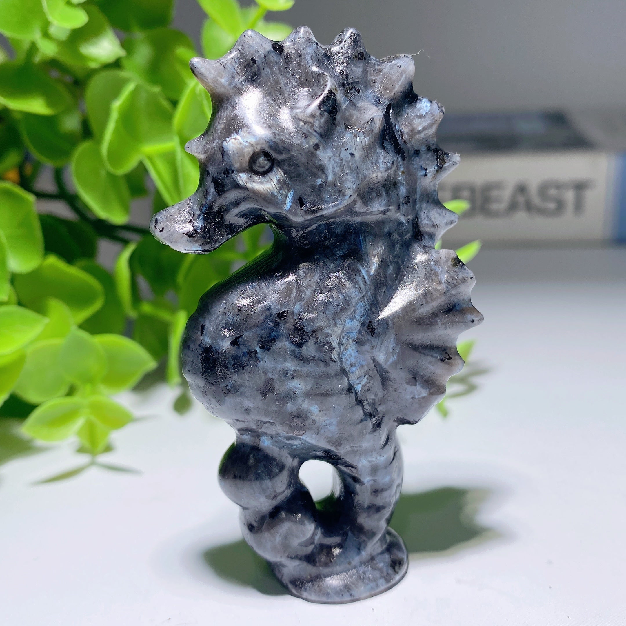 3.1 inch Larvikite Hippocampus Crystal Healing Carving