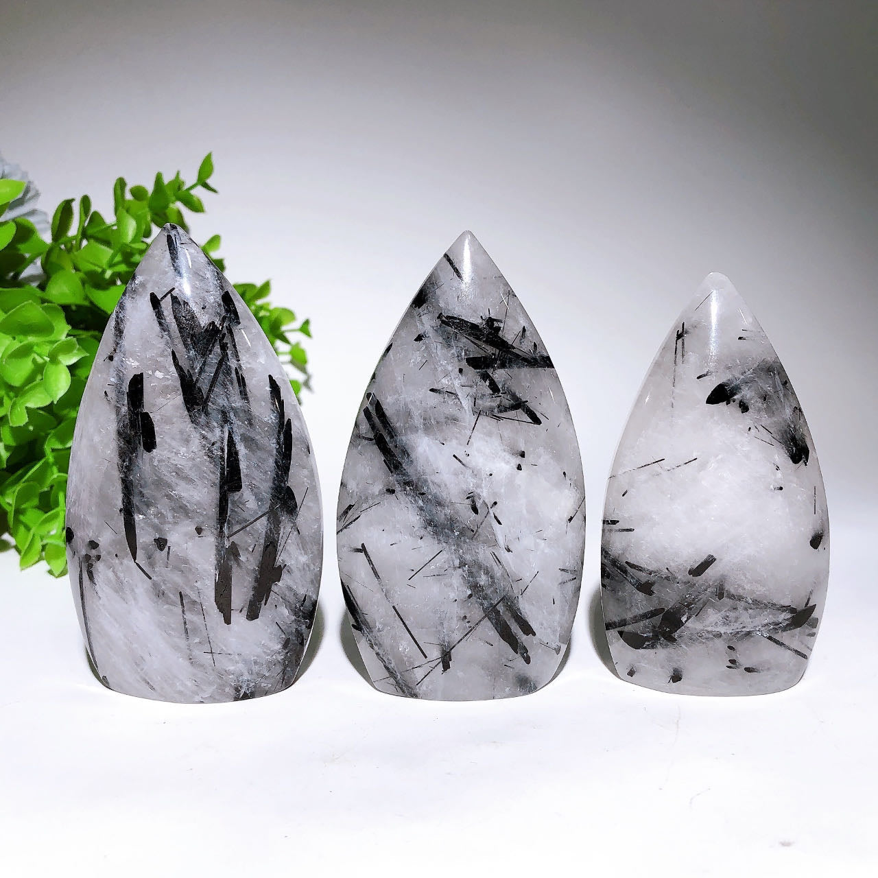 3.2-4.2in Black Tourmaline in Quartz Healing Crystal Specimen