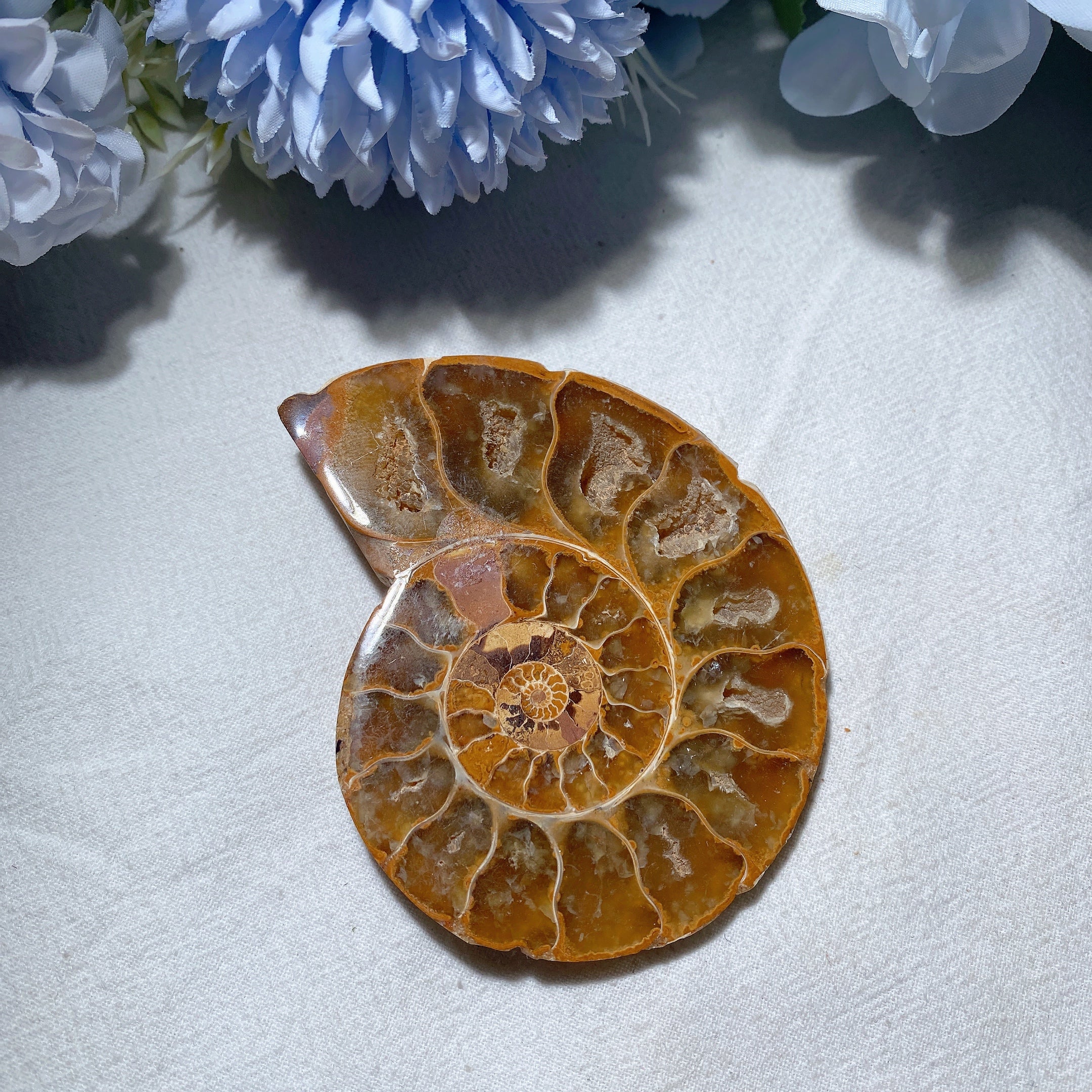3.2" Ammonite Crystal Specimen 90g Polished Spiral